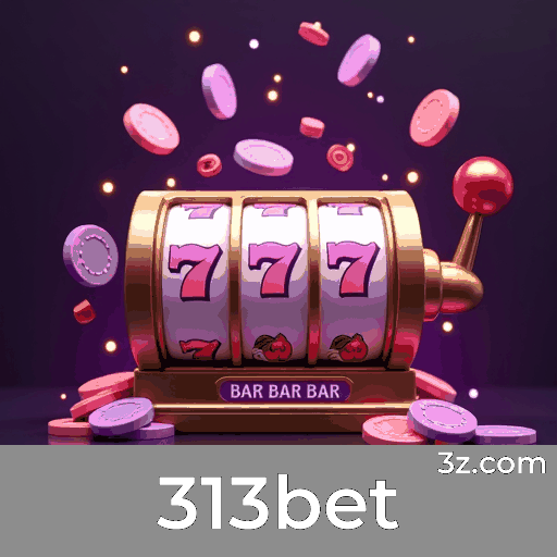 313bet: A Plataforma de Apostas com Serviços Profissionais